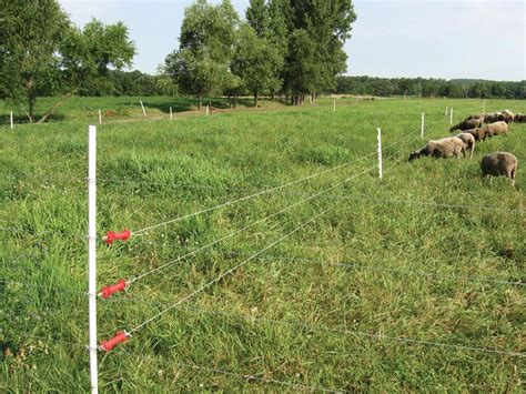 electric fence box for goats|temporary electric fencing for goats.